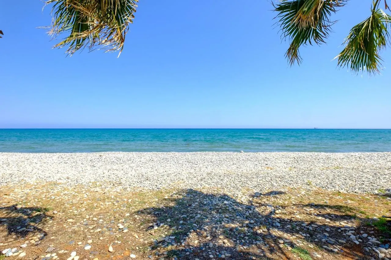 Oceanview Apartment contacts